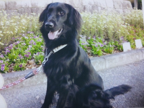 Genki\'s 2世 _f0176499_253680.jpg