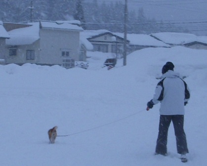 白馬で雪山訓練_f0004309_21494172.jpg