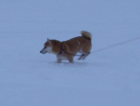 f0004309_2149994.jpg