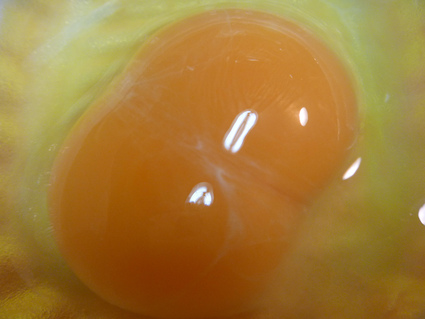 ２月８日　　卵に黄身が2つ入っていたよ_d0012611_226291.jpg