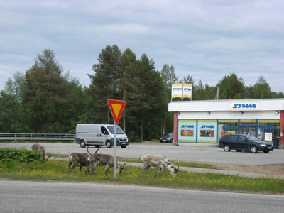b0202018_187452.jpg