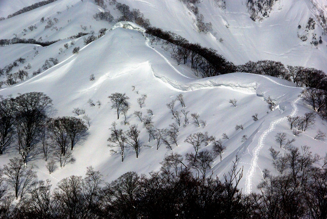 b0062024_1962943.jpg