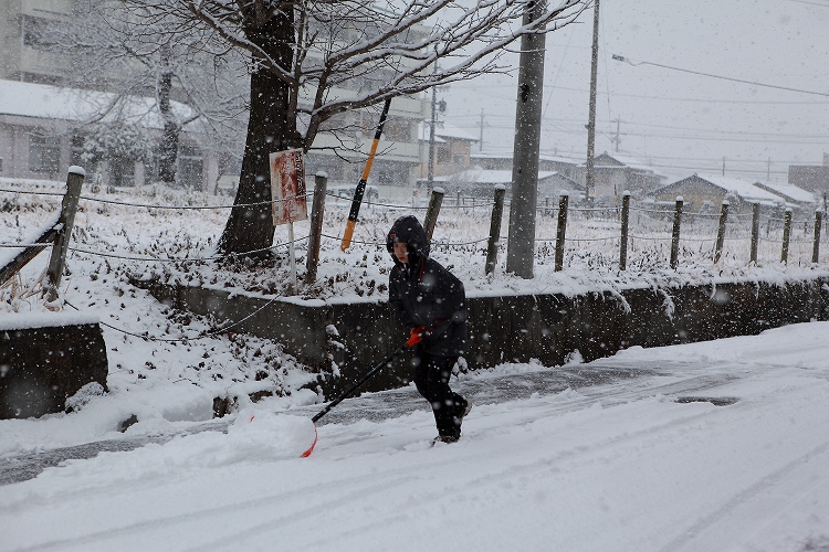 雪かき　～次男のお手伝い～_d0170525_22195133.jpg