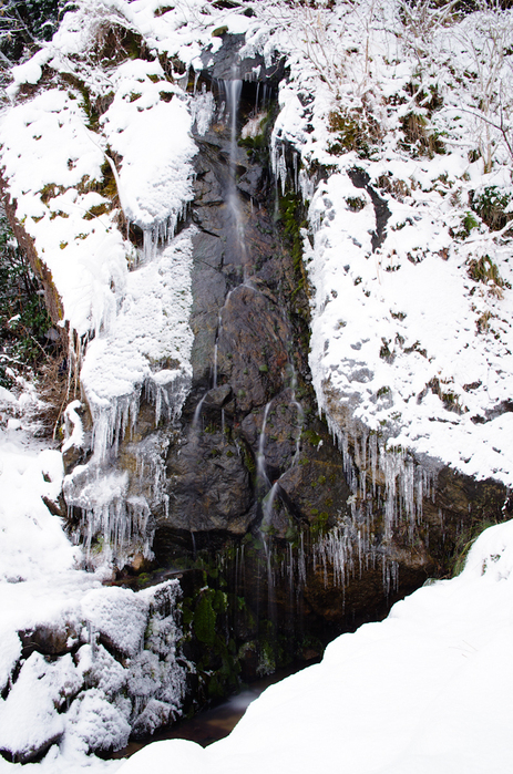 a0152448_11005.jpg