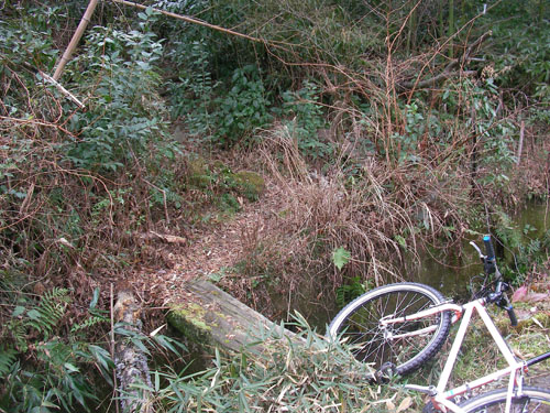 d0144550_2213050.jpg