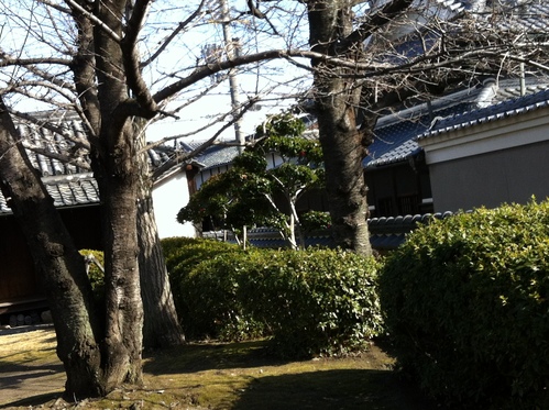 c0185356_12582518.jpg