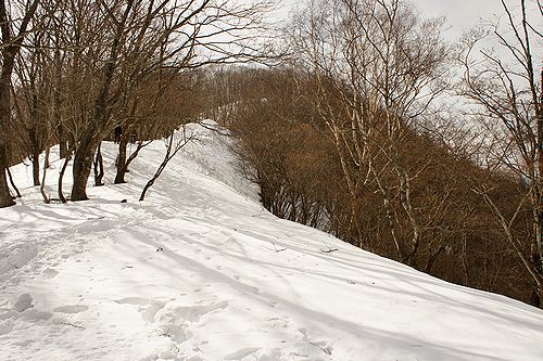 川苔山　その1_b0188769_2252294.jpg