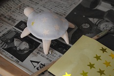 星模様のカメ_a0163282_19305162.jpg