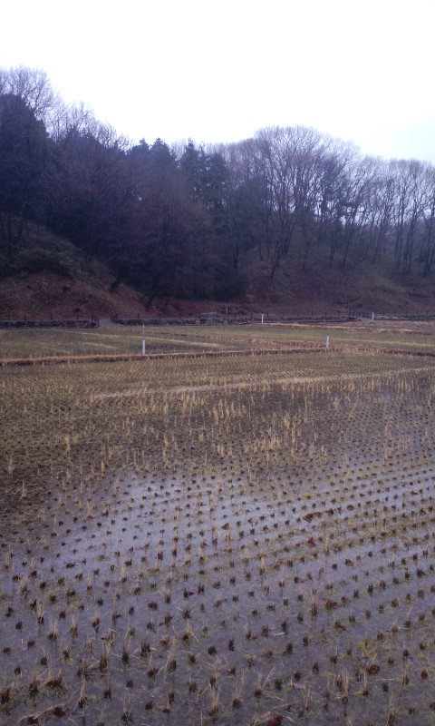 雨の日の寺家町_e0054290_0134840.jpg