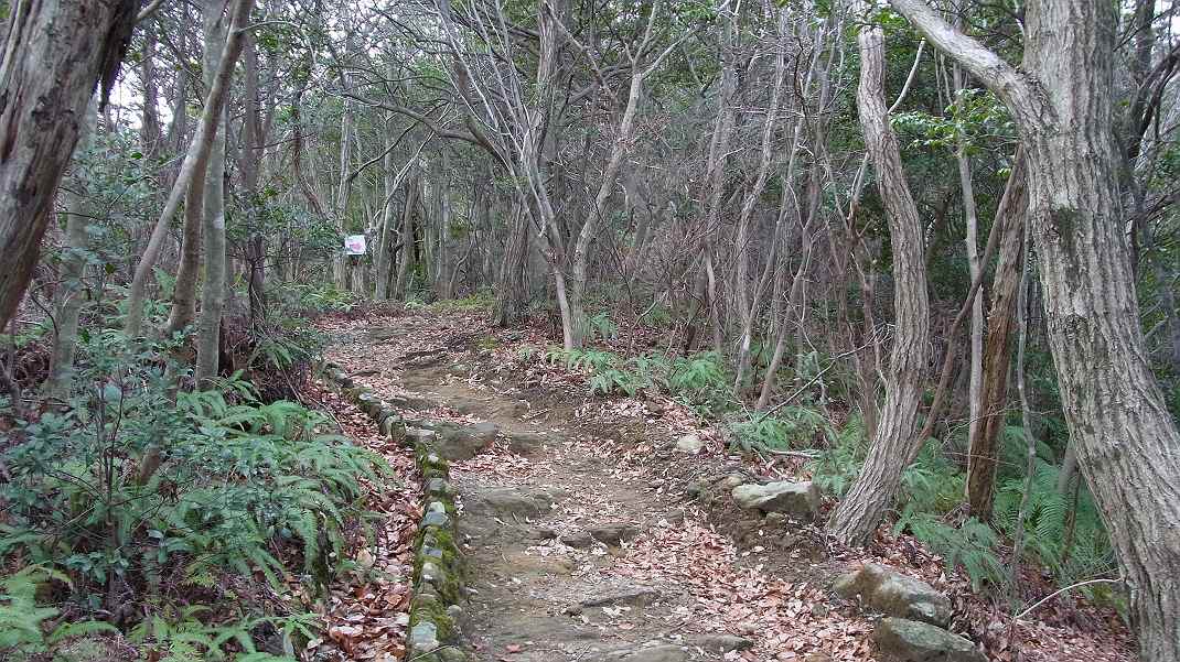 a0152692_19325740.jpg