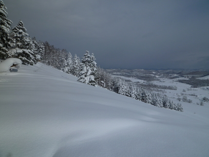 a0248508_12404943.jpg