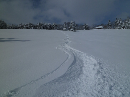 a0248508_12414299.jpg