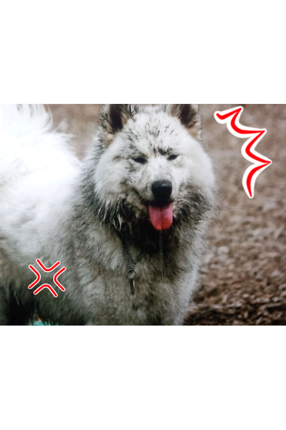 d0148408_820156.png
