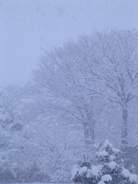 e0243008_5211099.jpg