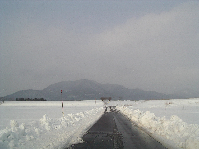 e0243008_5212337.jpg