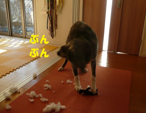 f0121712_122014.jpg