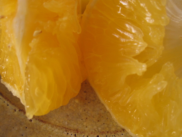 c0200314_9145369.jpg