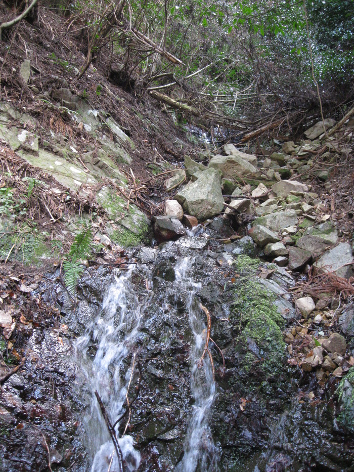a0125419_16987.jpg