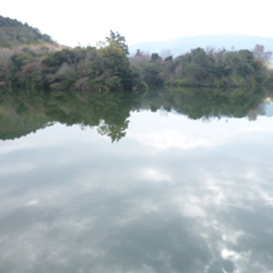 b0056423_1022968.jpg