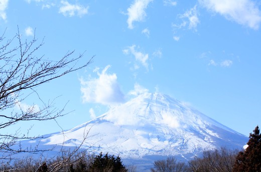 高嶺の…_e0133037_239382.jpg