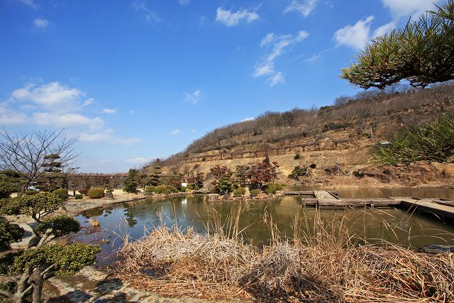 a0242438_18432518.jpg