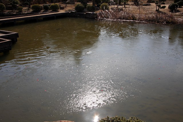 a0242438_18433595.jpg