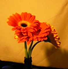 e0230141_17554952.jpg