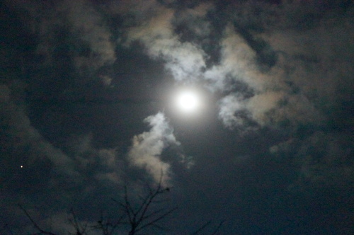 b0242248_23255977.jpg
