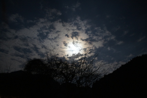 b0242248_23325870.jpg