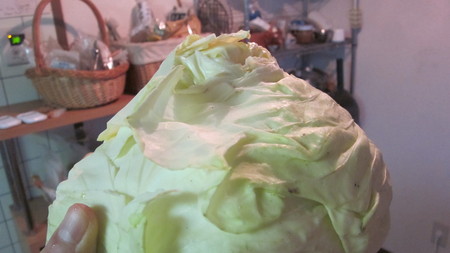 a0186159_15231446.jpg