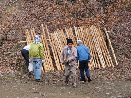 臨時活動日：展望台建設第１０日目_c0108460_18414935.jpg