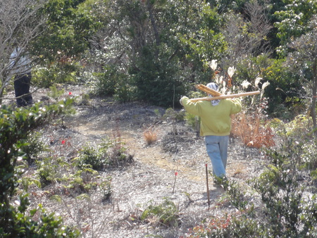c0108460_18432396.jpg