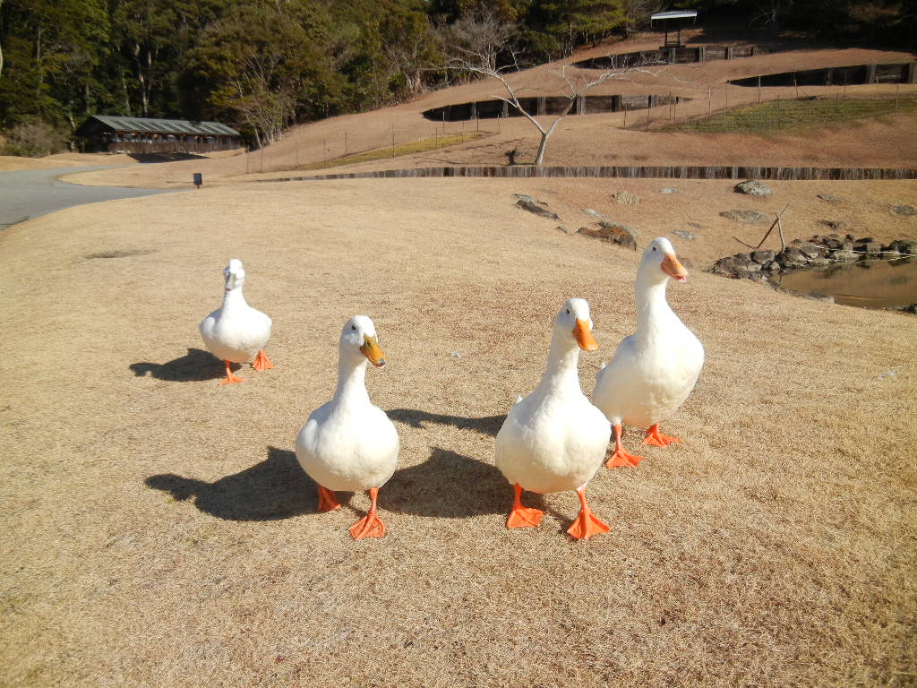 2012年2月9日(木)春の足音が聞こえるよ~♪_f0060461_16415223.jpg