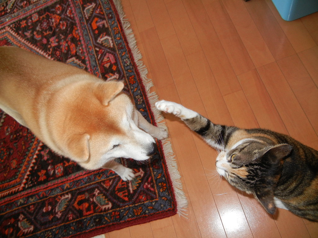 2012年2月9日(木)春の足音が聞こえるよ~♪_f0060461_16595196.jpg