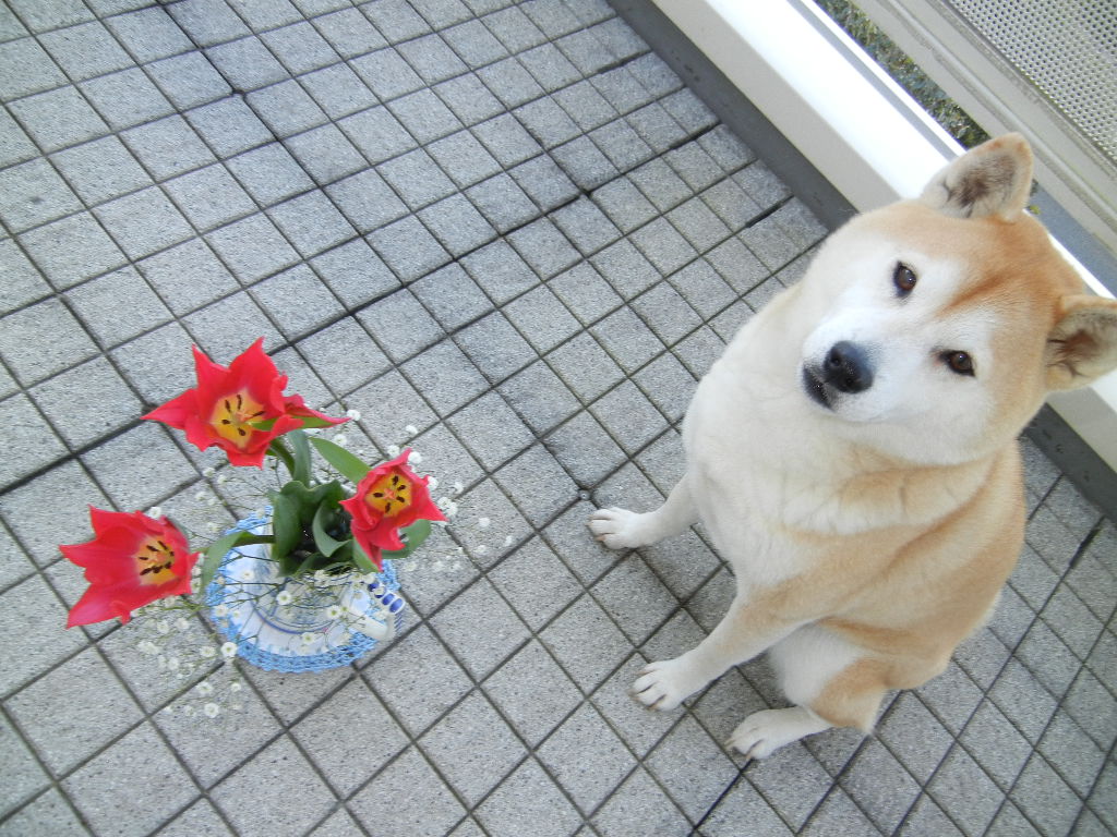 2012年2月9日(木)春の足音が聞こえるよ~♪_f0060461_1721553.jpg