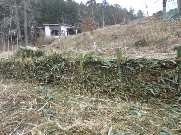 竹の活用法_d0231263_22575631.jpg