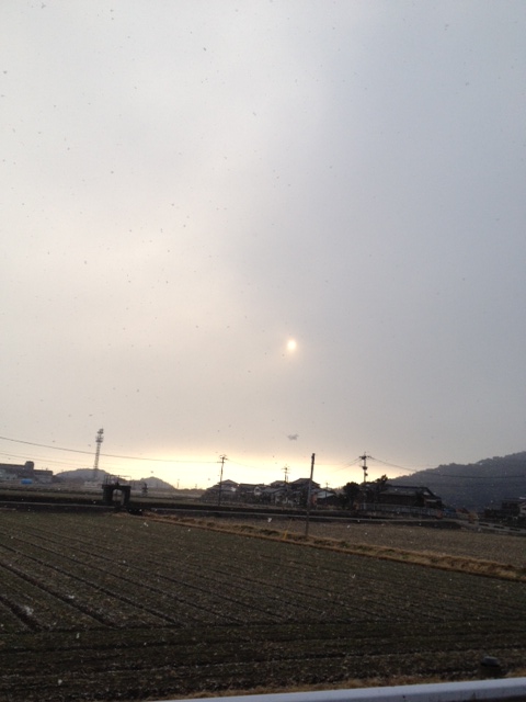 耳のちょんぎるごと寒かった_a0077071_2057457.jpg