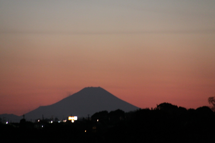 e0249878_15446.jpg