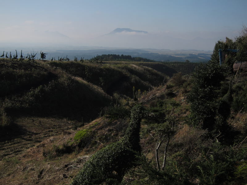 広大な高原と遠景の阿蘇の山々を眺めてーやまなみハイウェイ・瀬の本高原：ブロンプトンと九州リベンジ⑬_e0138081_6301129.jpg