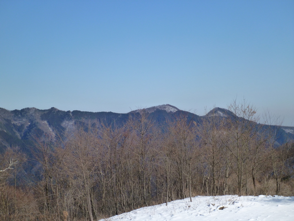 雪深き奥多摩　浅間嶺～払沢の滝（2）　初アイゼンで雪道歩行♪_e0195587_19593832.jpg