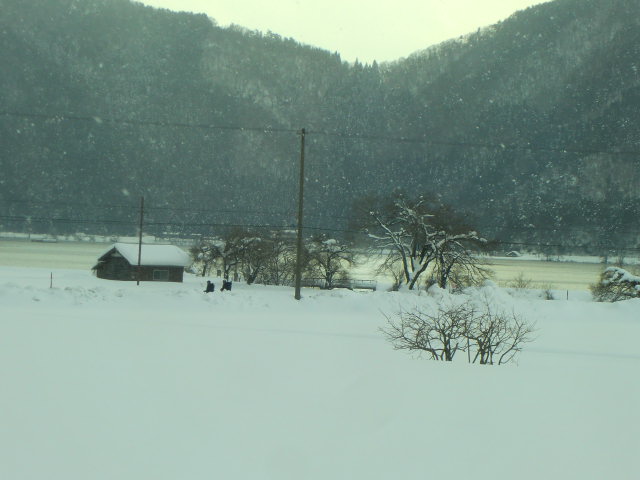 b0044296_16474457.jpg