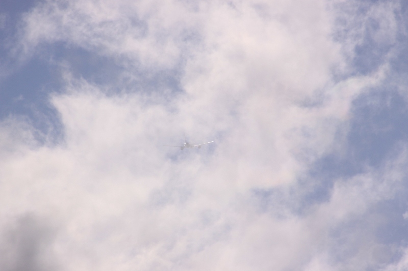 b0138798_16384839.jpg