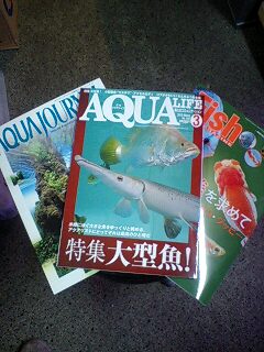 熱帯魚関連月刊誌_b0141806_2146868.jpg