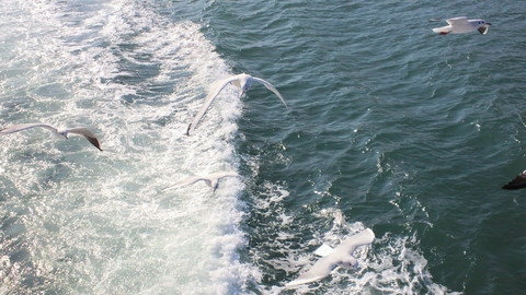 d0238608_1355391.jpg