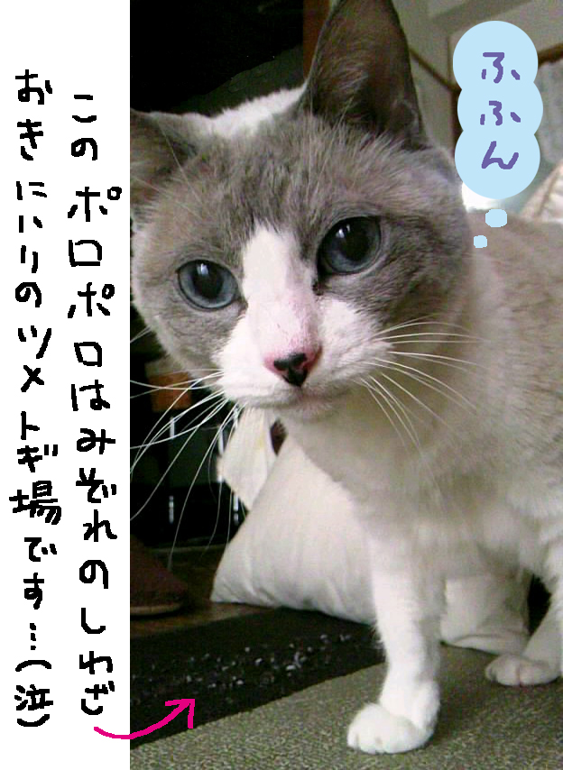 こけしちゃん_e0239908_1332680.jpg