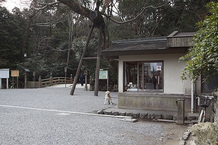 f0191413_21233965.jpg