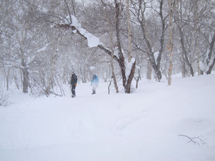 e0223120_8451530.jpg