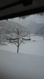 北新庄小学校の大豆の加工体験_e0061225_10231528.jpg