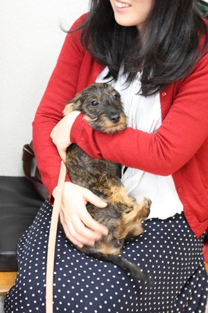 パピーパーティー 2012年1月②_e0191026_0282312.jpg