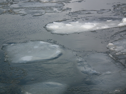 c0185132_11571824.jpg